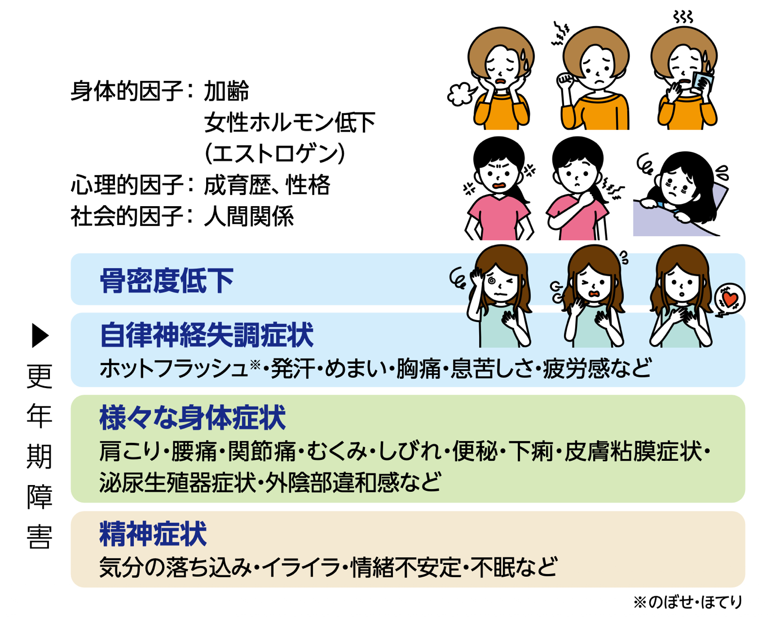 図2 更年期世代の変化の例