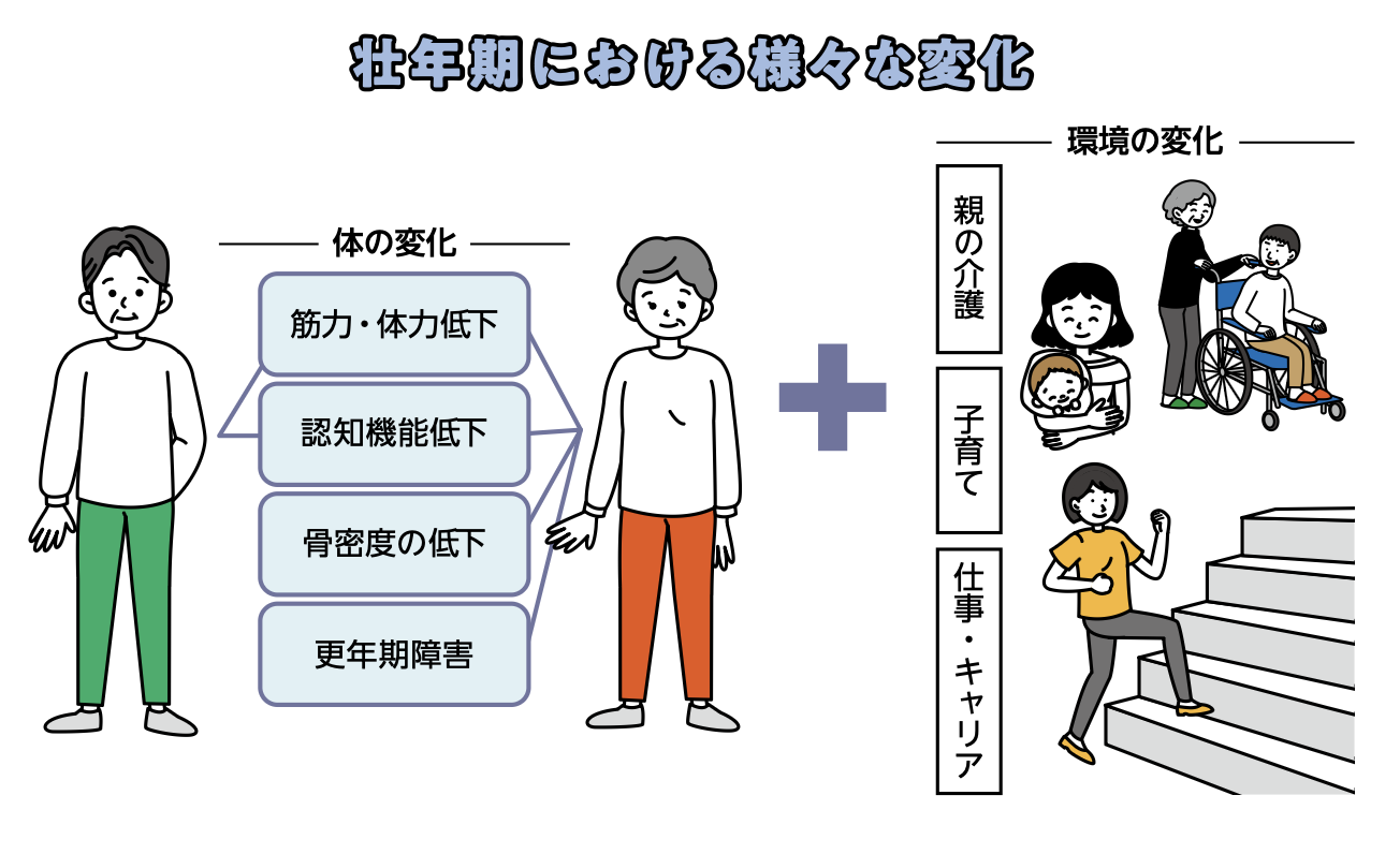 壮年期における様々な変化.png